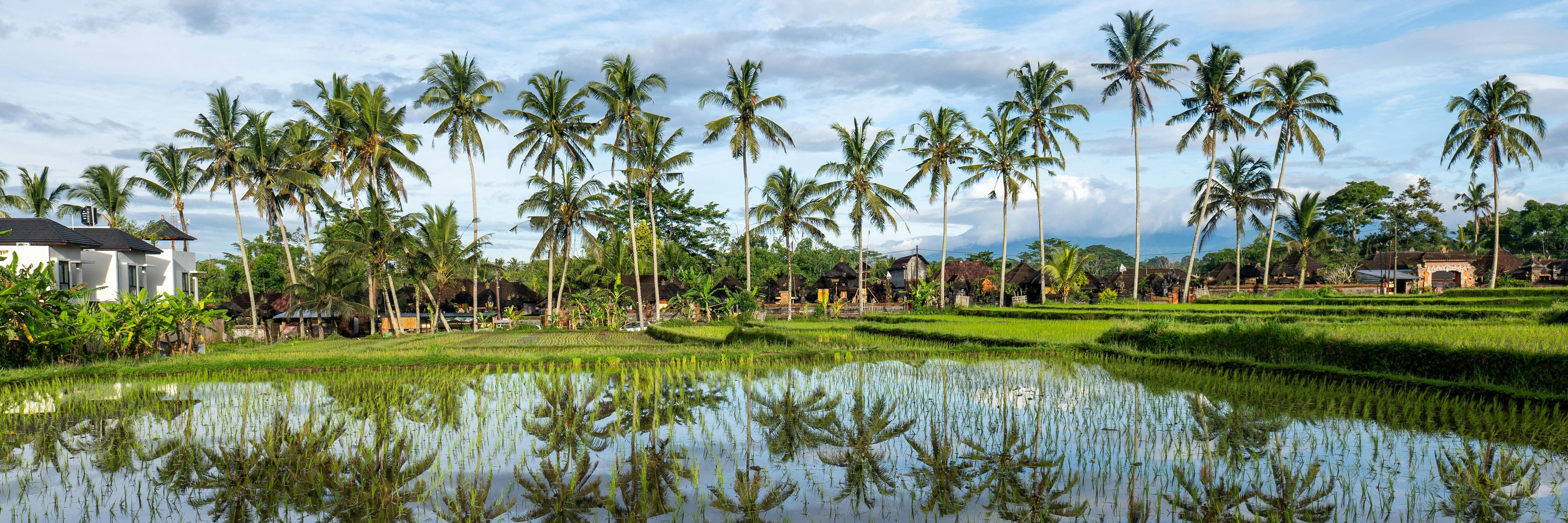 Bali — Russell Survived Bali